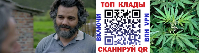Цена Зима Бошки Шишки  Галлюциногенные грибы  COCAIN  ГАШ  Меф 