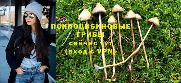 гидропоника Армянск