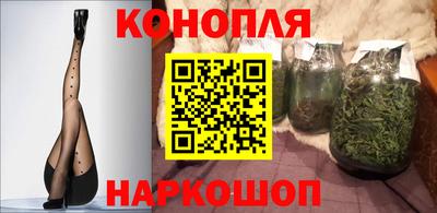 шишки Можайск