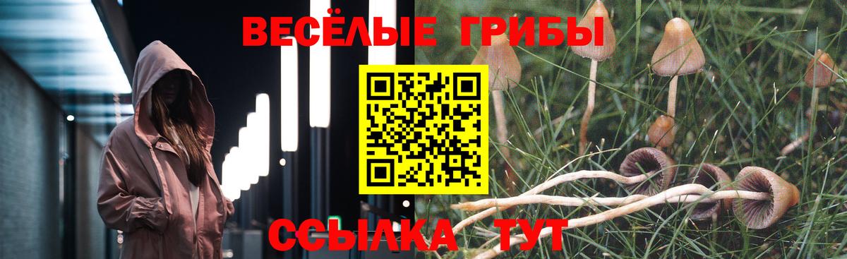 Зима  Псилоцибиновые грибы мухоморы  Галлюциногенные грибы Cubensis  Вход с VPN 