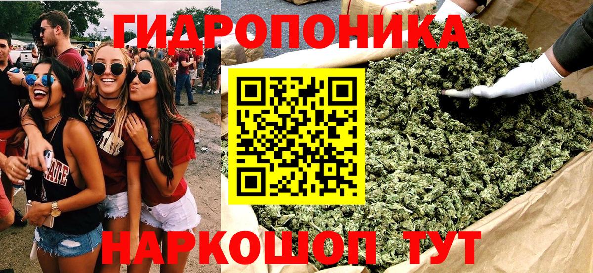 Зима  Каннабис THC 21%  Бошки марихуана Bruce Banner  Вход с VPN  МАРИХУАНА индика 